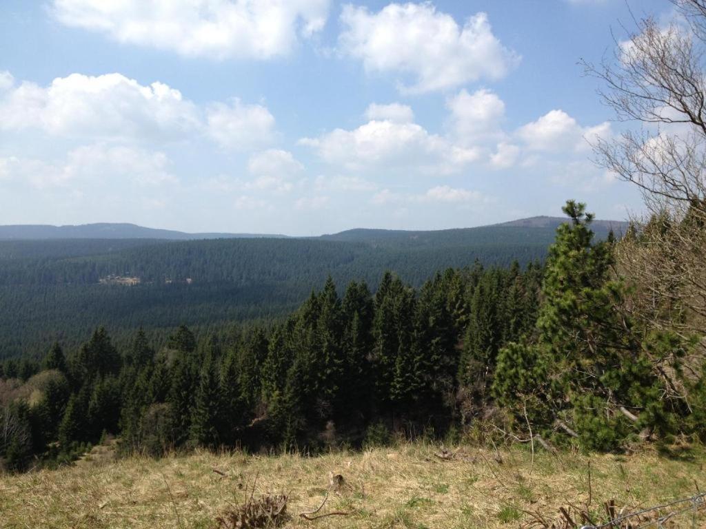 Hostel & Hotel Braunlage Eksteriør bilde